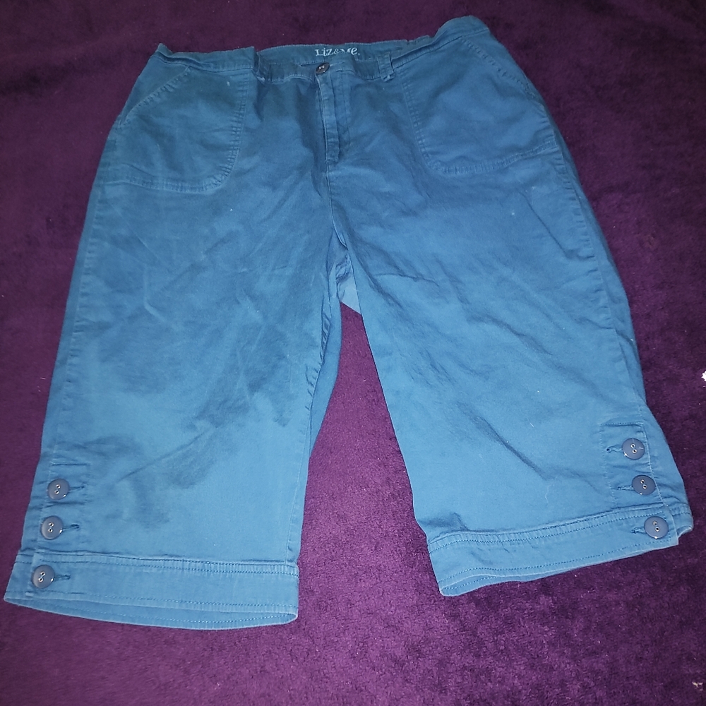 Liz and me Plus size shorts 24w